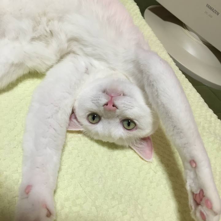 C8806432 3d56 4389 986c 38aeaebbb4d4