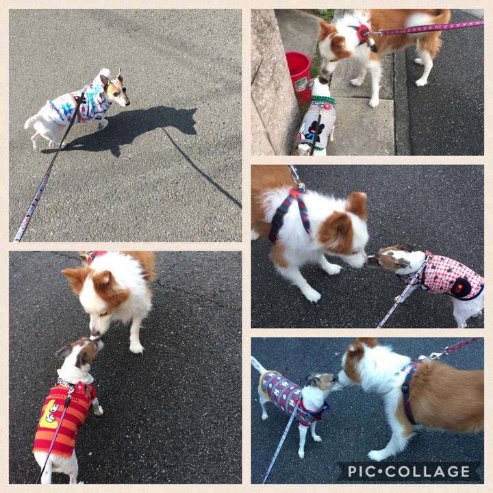 C88084bd 43e6 4925 abe9 3192ae91bd2c