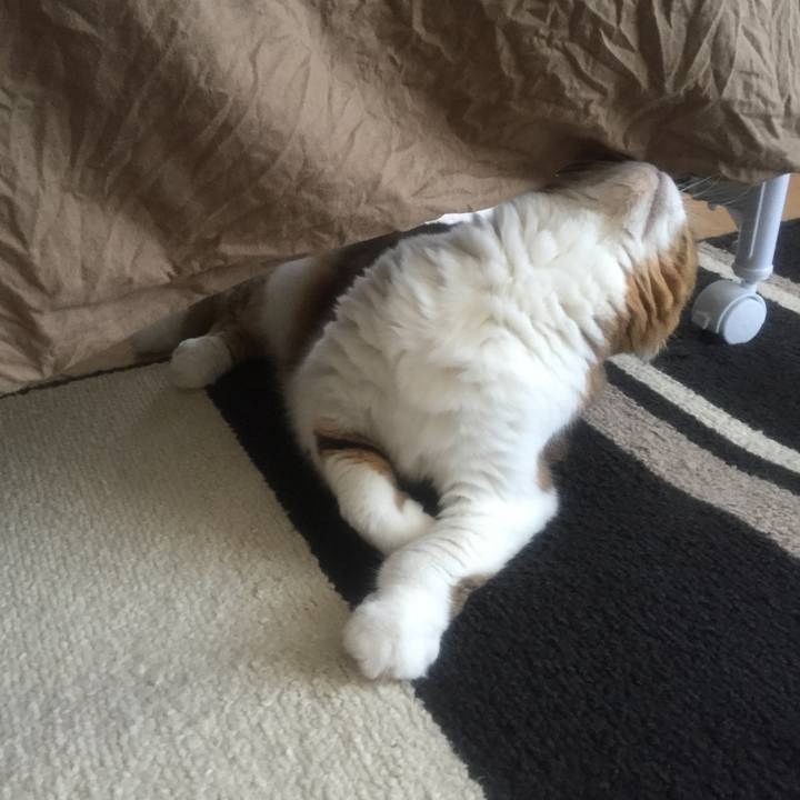 C880f9ce 2a6b 497c 9e7c 089945e1dcf8