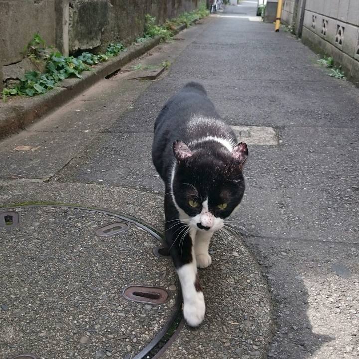 C881482a 6a30 4452 8835 fbf754b44445