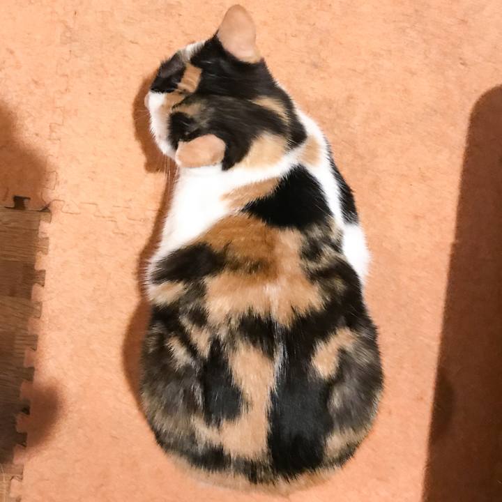 C881a7d7 9eb1 4ad3 bf04 7b1f573eae98