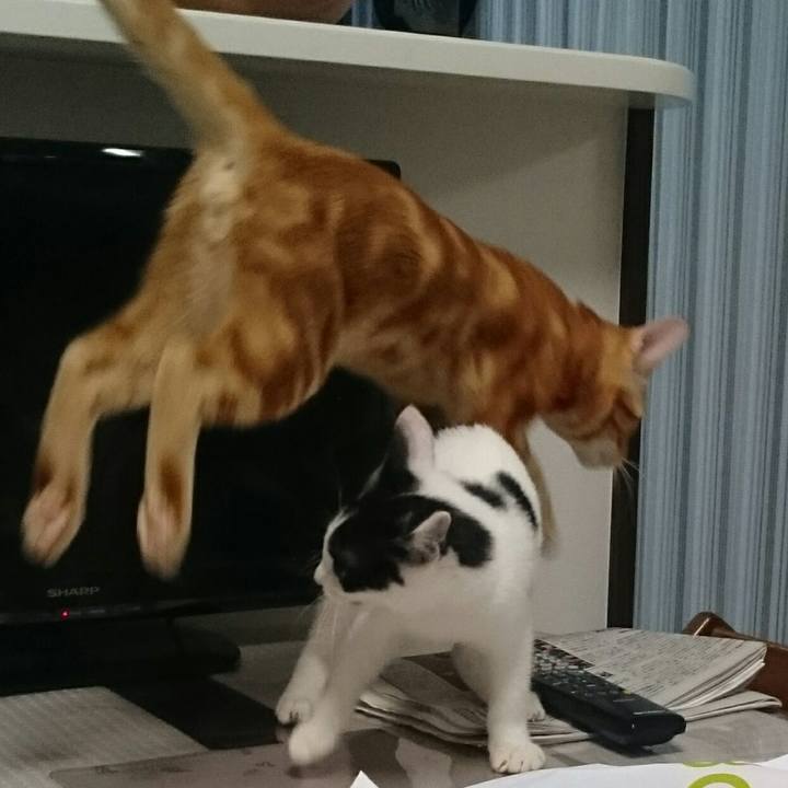 C881d204 34b8 43b7 9db5 221ddd3f9589