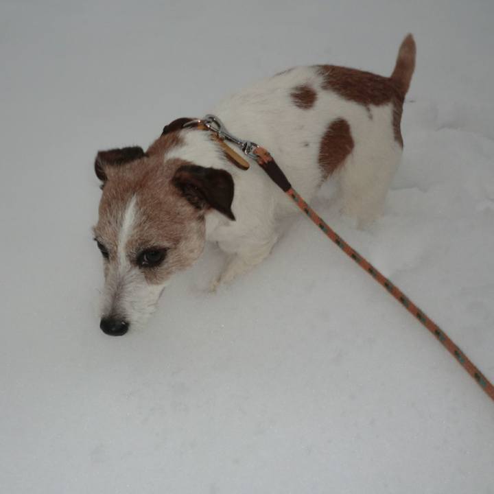 C8821a93 ddb1 4814 89d8 db56d4cd507f