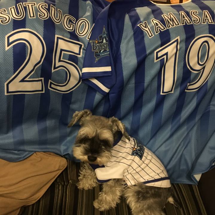 C88253d9 c49c 4535 8832 bcaa1f7ec162