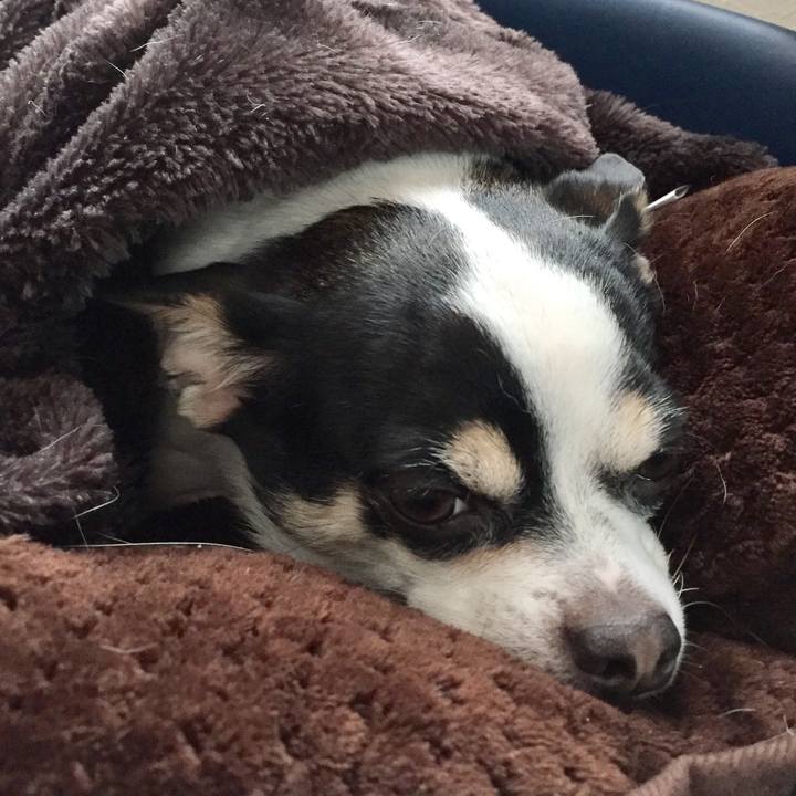 C8835c09 b91d 45c8 8457 35672cfb9c5c