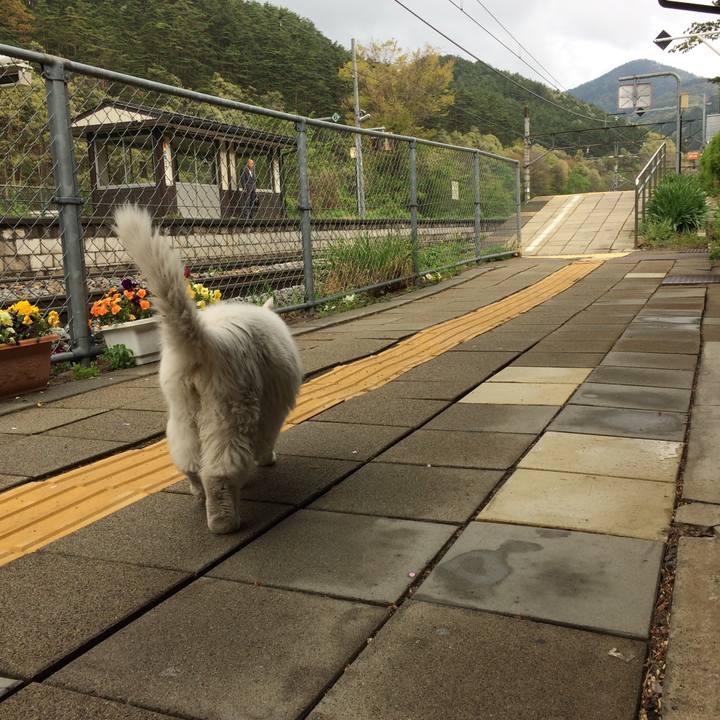 C883f215 29c9 4f80 a999 eec7423f5182