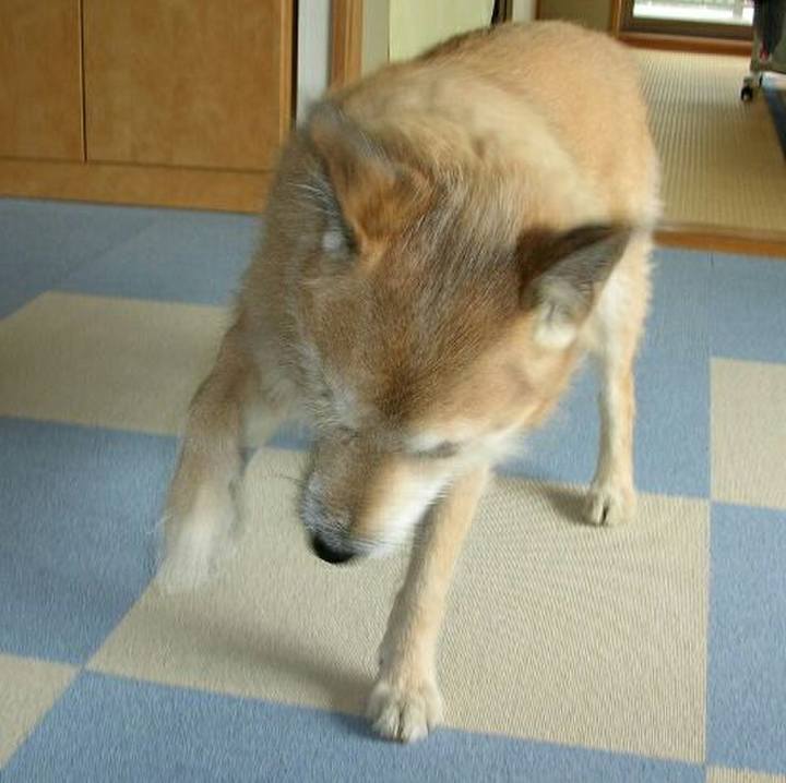 C8841be2 a80d 4f46 aac5 abb1b3e6140a