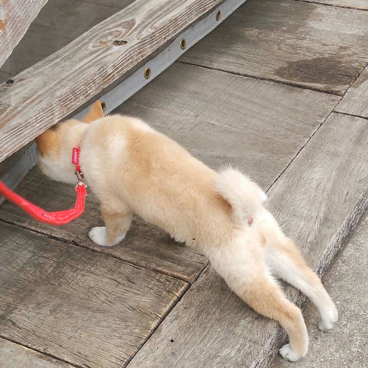 C884bb72 8725 494a b675 5846dc0f46d1