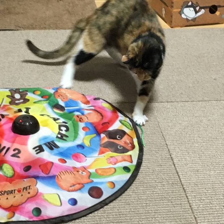 C884ec8c 988e 4e55 ac63 1866b4e345b1