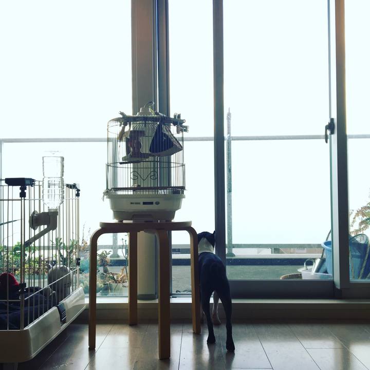 C884f5a9 a71e 42dd bb9d ece2a424a9c9