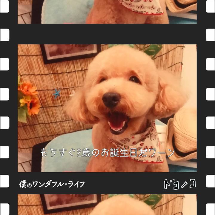 C885031b 22c1 4793 9226 26ad9658e3ab