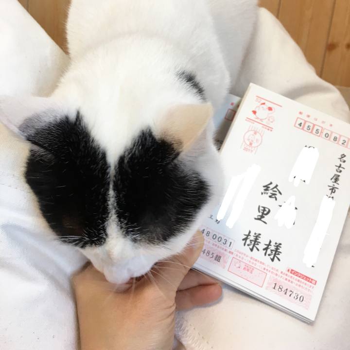 C8853af9 5e90 431d 9a28 8253ada1bb76