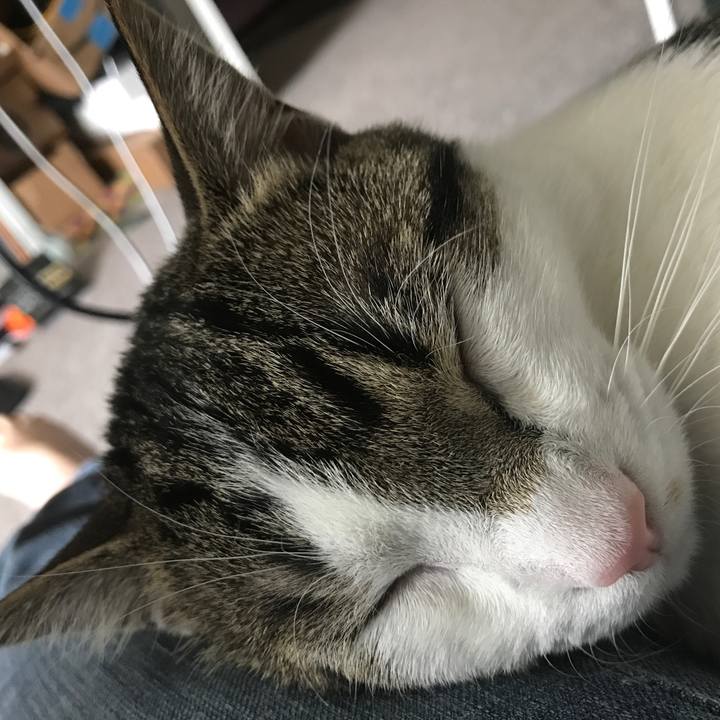 C8853cb5 c4f0 4658 8be2 114e72ba4bd6