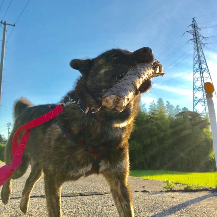 C885b25e e2fa 4b01 90eb f07d7e3a9783