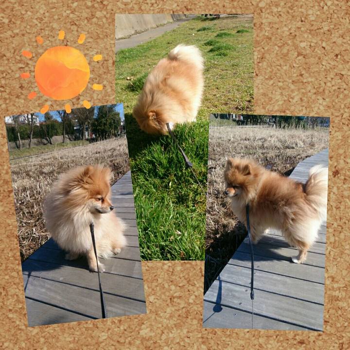 C885da60 0dac 4cef 81dd d0e181bdb354