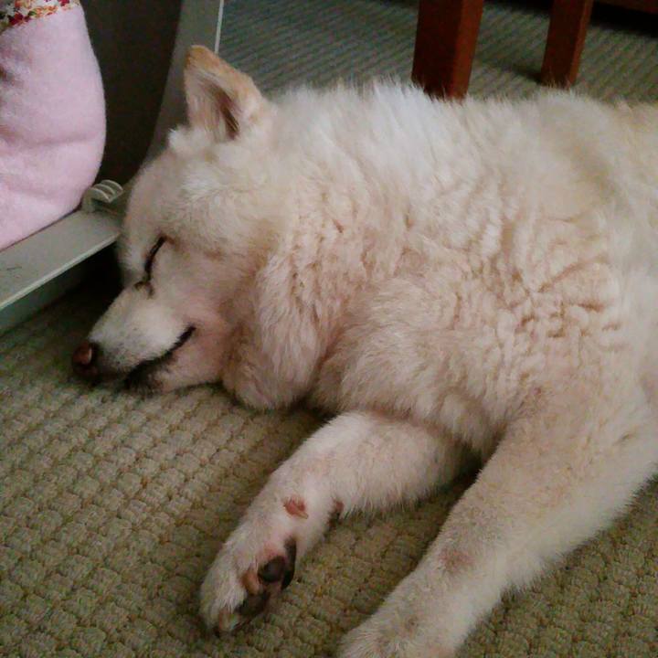 C886009a e944 46ac b7f1 8e13285cdae1