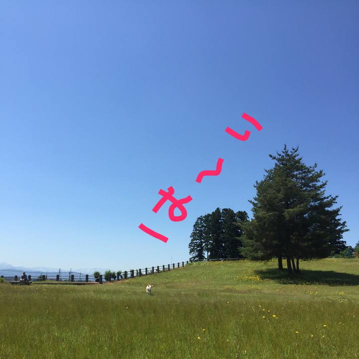 C88784a0 6369 486d aebc 4f62f32850d6