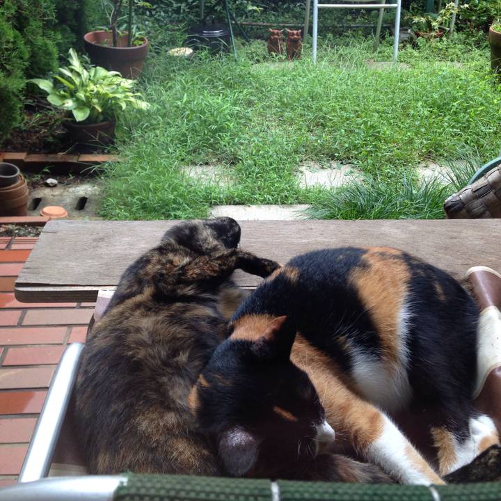 C8878abc a8cf 4f68 afe3 4e73a9609a4b