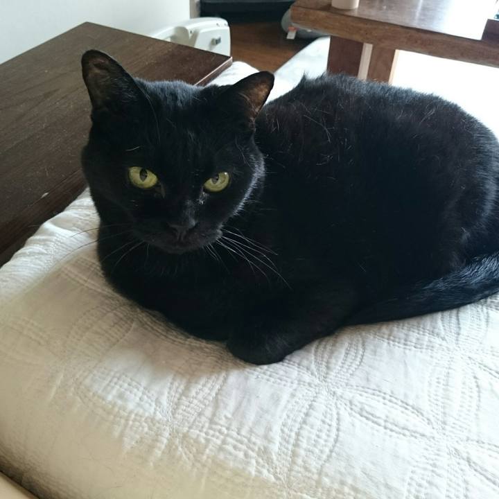 C887937a 3be1 40b3 8643 34bff9233179