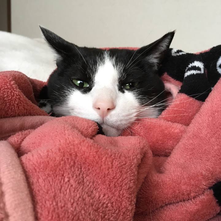 C887c0c4 77a7 426c 8af8 17fc4d506278