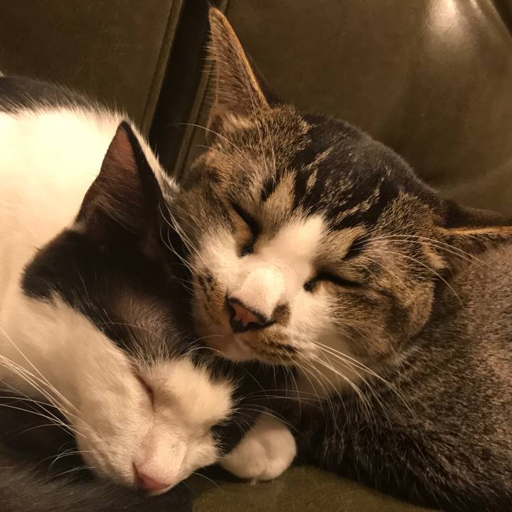 C88880d9 38b9 4de1 97b6 61c15f8f5c7d