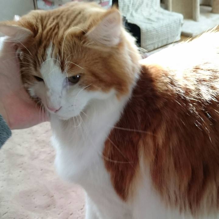 C888b0e7 7978 4d4b ab73 6199b2110b5c