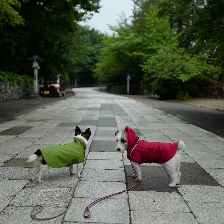 C888d458 c492 42e2 9f2e 56f64505dac6