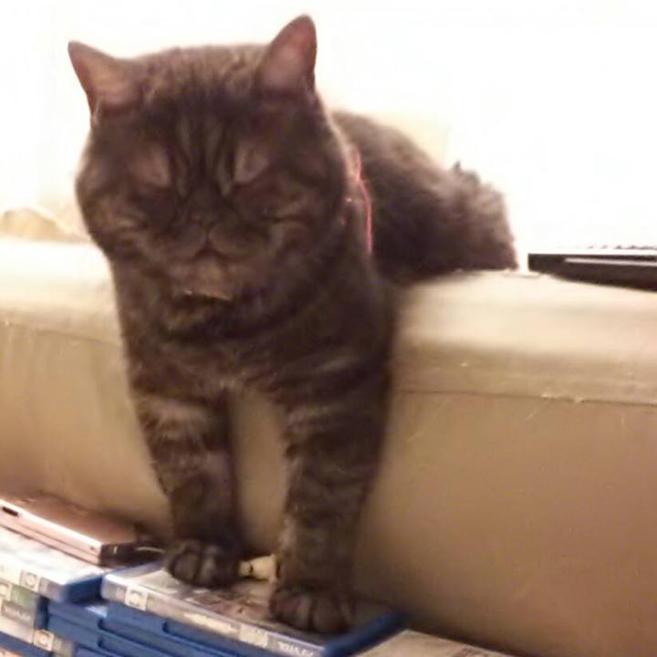 C8891f00 d936 41bb a273 f70afa417269