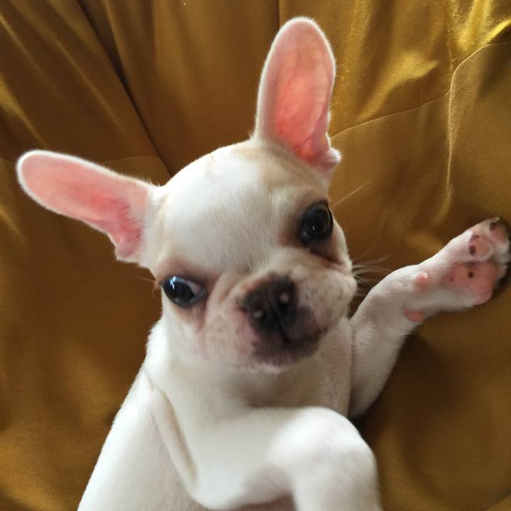 C88921ba 97e5 4d98 80bf 218c1fb77bdb