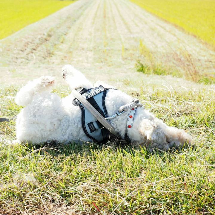 C889b81b e103 43da bd30 e8a6260695da