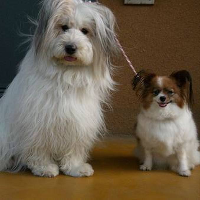 C88a5c84 dcf4 4d35 bb64 03f4562d91fa