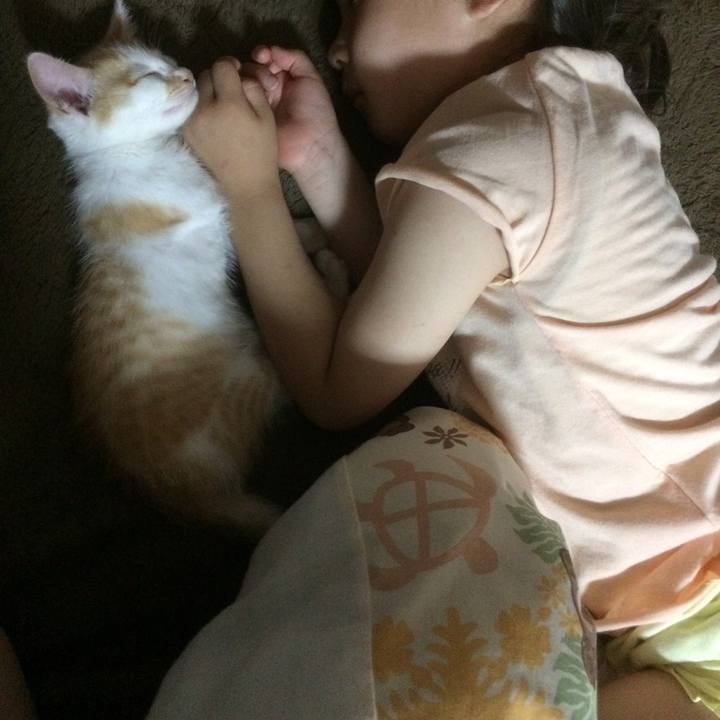 C88ad341 17a5 413b b3ff 0446e456381a