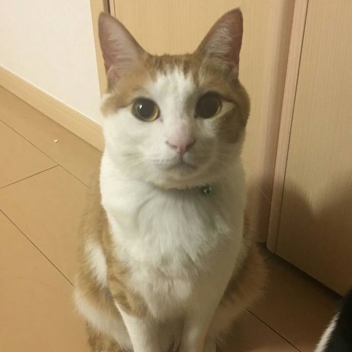 C88b3632 f2d1 4e65 a6c7 f18db4b13200