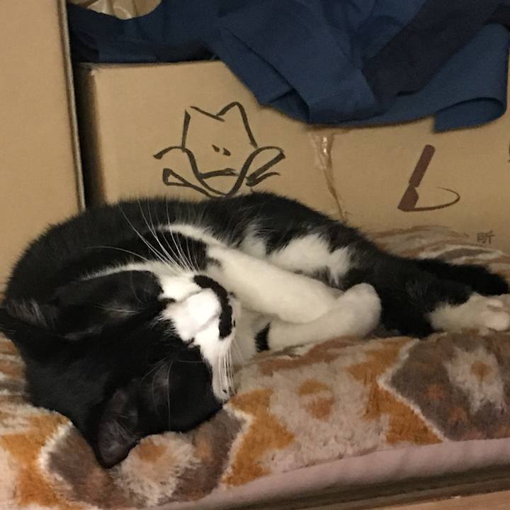 C88b4483 85be 4747 8514 329018e5b433