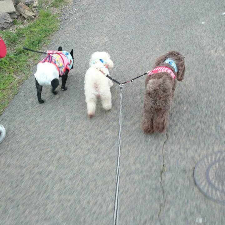 C88b5c86 1803 4fed 9ccd 6f6ea9068b17