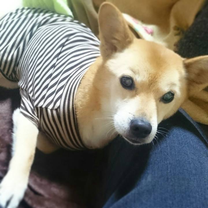 C88caa52 8a61 4cd1 bcdc ace2ba8a744b