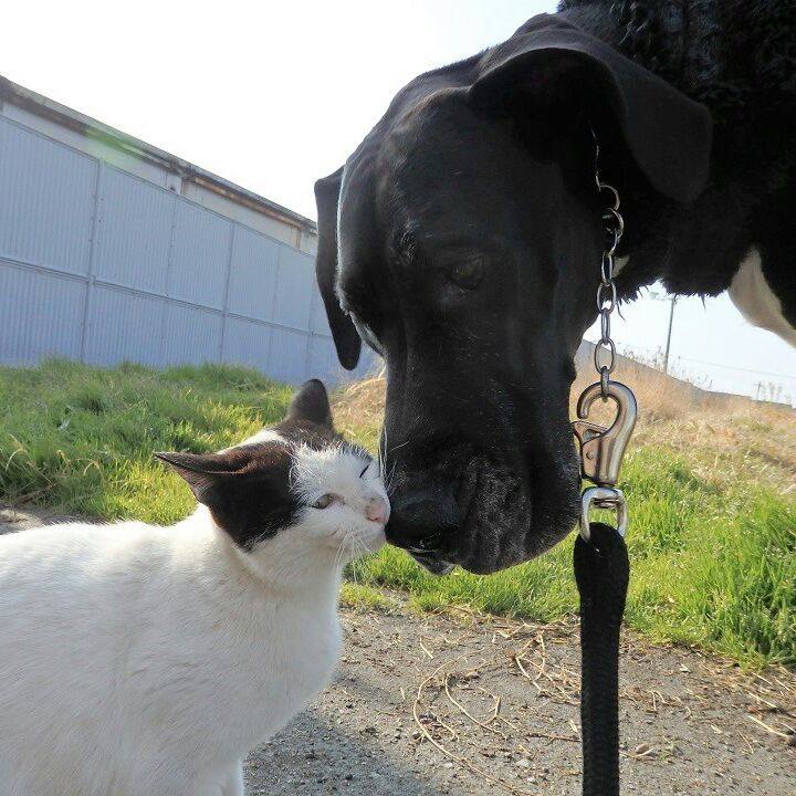 C88caf94 6efe 461b b81f def4144e6409