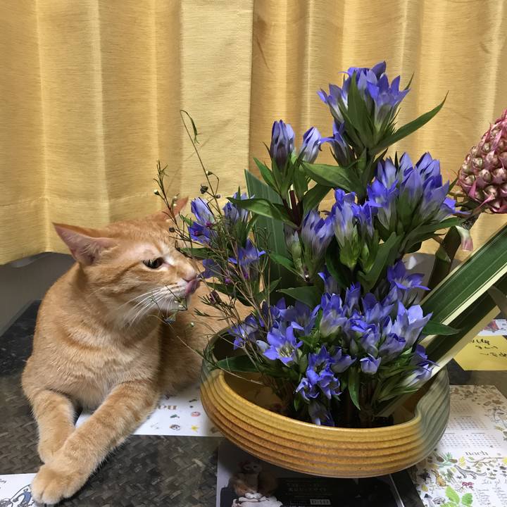 C88d117d 33fd 4563 9c8b 42aebf697365