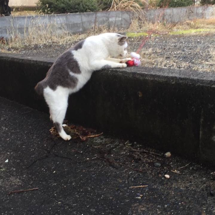 C88da9a1 e2db 40b2 a7cb ab9ba08d5310