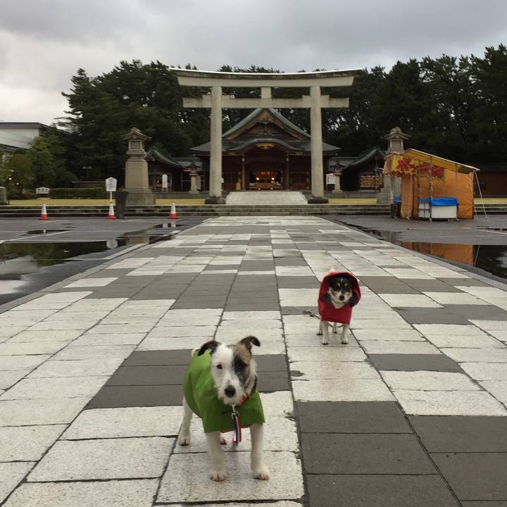 C88e1783 fbd8 4b69 ad5a 7435dd993df5