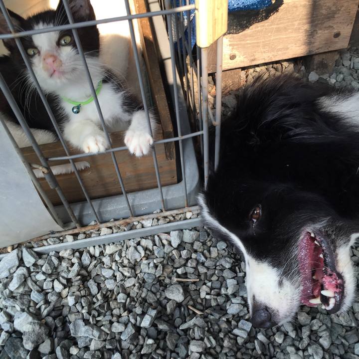 C88e4046 8e84 47a2 9627 47a34cd31e89