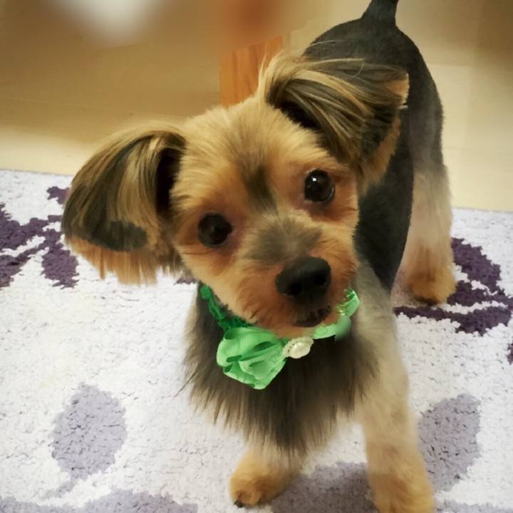 C88e738c b659 4b44 9b49 5205f48e4bf7