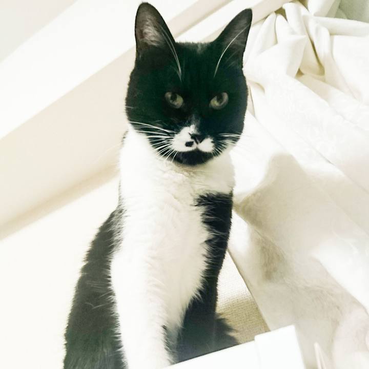 C88e91fb 384d 4cba a375 664d284cd59e