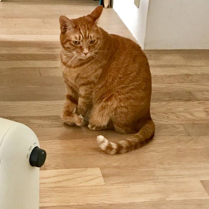 C8900899 ca71 4fe2 9639 749a60fcfc34