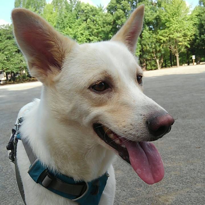 C890437f f3a8 4cef 8bbe ea55a6e1cb31