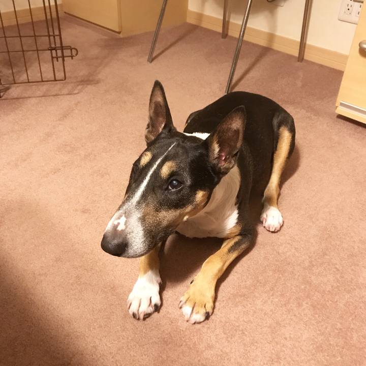 C8905cff 6a2c 4505 985f c072a30f6a77