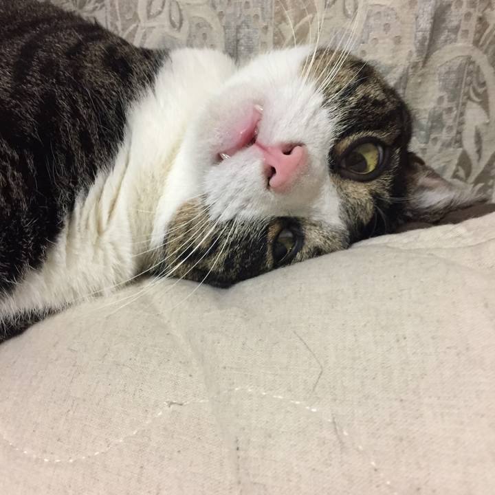 C890d537 7de1 45d3 a9ac 859b371c07df