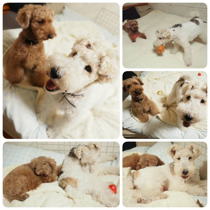 C891401d 764c 4d7f 8aaf e26733ee5bea