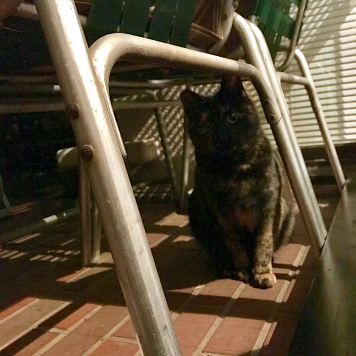 C891c941 e8f0 486e 9778 8c996d2546fd