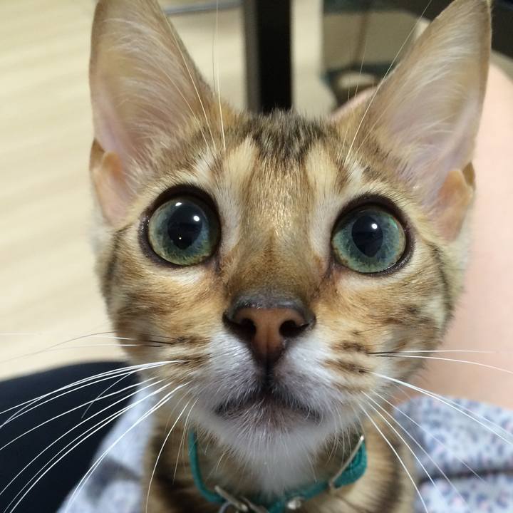 C8925390 47a2 4d93 9c9f a9a2062f6c4a